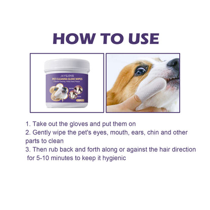 Cat having teeth cleaned with PawFresh finger-glove dental wipe — gentle and stress-free oral care

