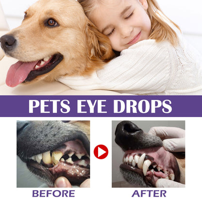 PawFresh dental wipe gently cleaning dog's teeth and gums — removes tartar and freshens breath

