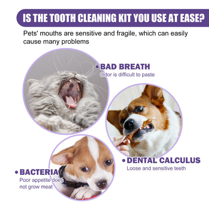 PawFresh pet dental wipes 50-pack size reference next to hand — compact 6.2cm x 5.7cm wipe

