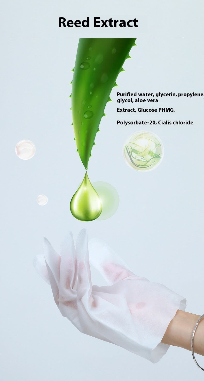 PawWipe disposable pet cleaning glove packaging showing 10 individually wrapped gloves for all pets

