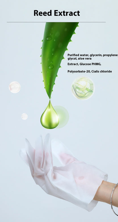 PawWipe disposable pet cleaning glove packaging showing 10 individually wrapped gloves for all pets

