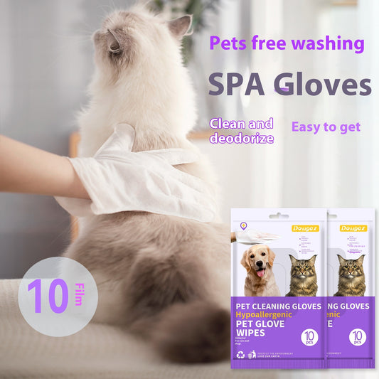 PawWipe disposable pet cleaning gloves 10-pack front view on white background — no-rinse for dogs and cats

