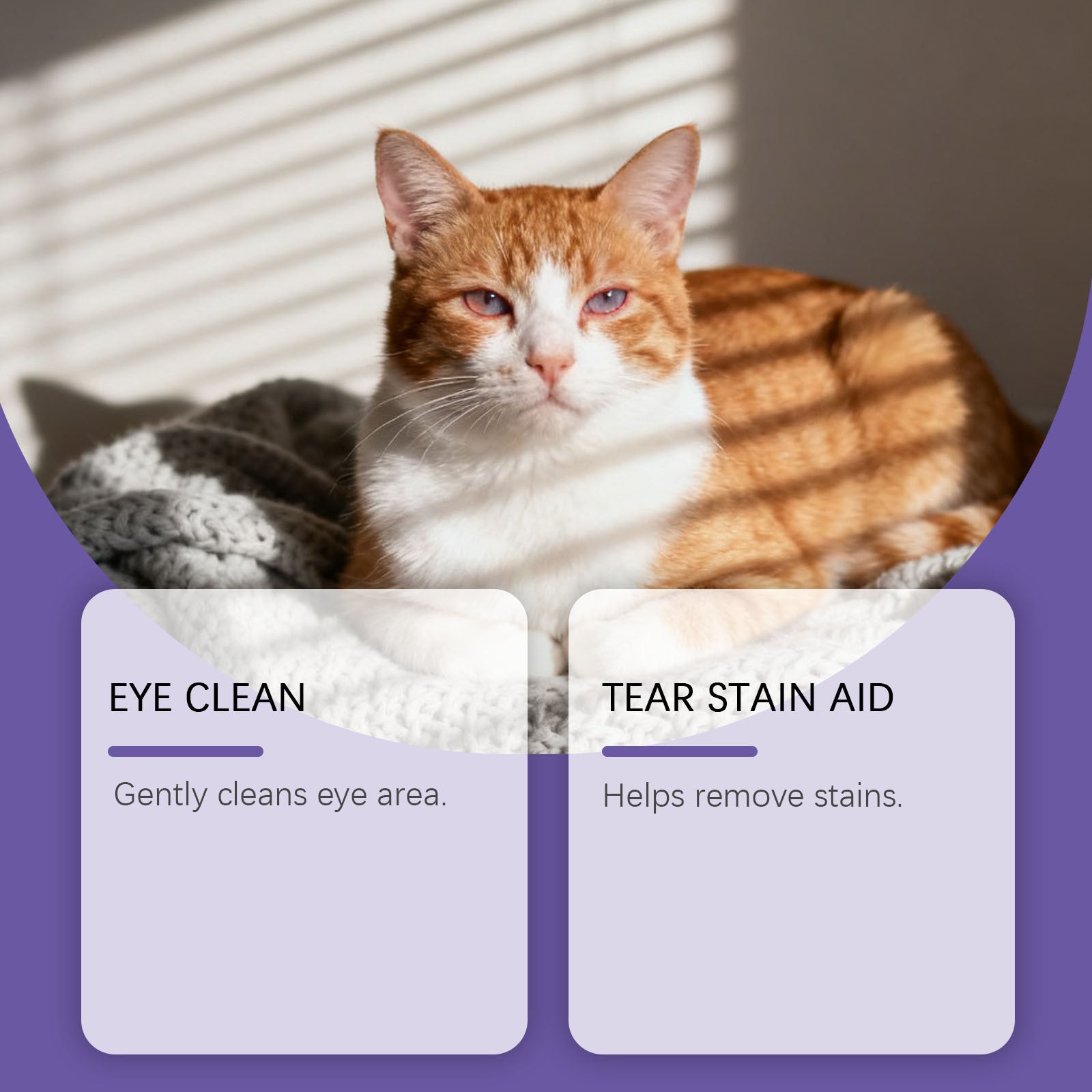 Pet owner gently wiping dog's eye area with PawClear hypoallergenic eye wipe for tear stain removal

