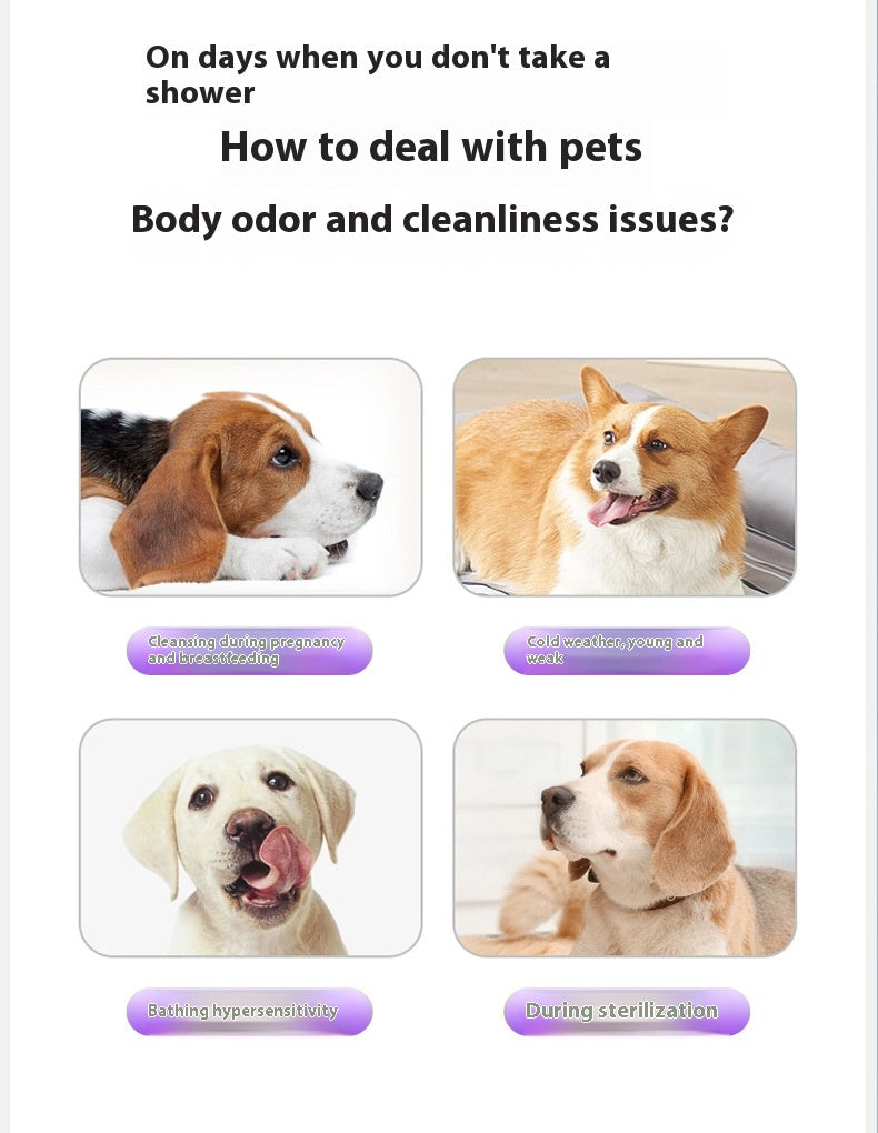 Pet owner using PawWipe cleaning glove to wipe down dog coat — removes dirt and odour without water

