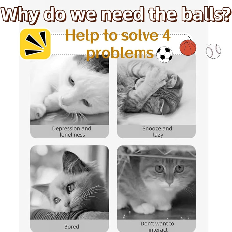 PurrPlay cat toy balls in multiple colors – fun pet accessories for cats