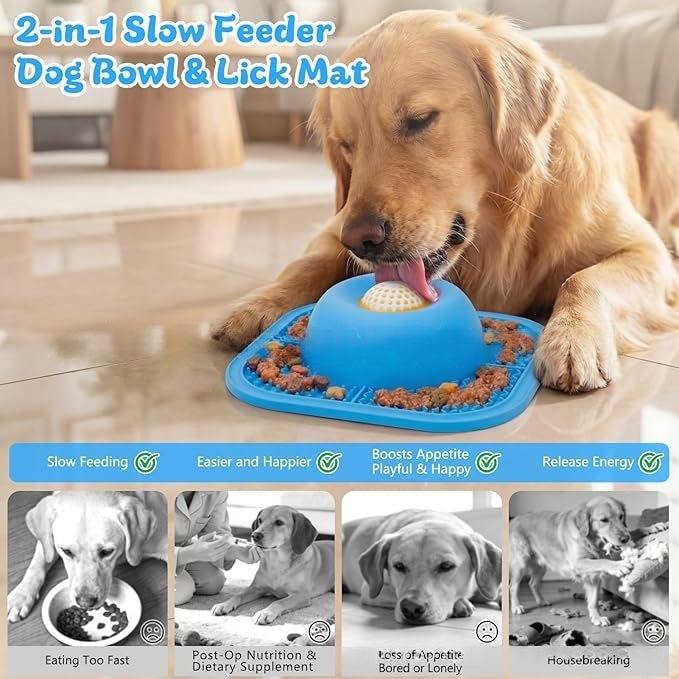 SlowBowl slow feeder bowl close-up of maze ridge surface — food-safe resin slow feeding detail for dogs

